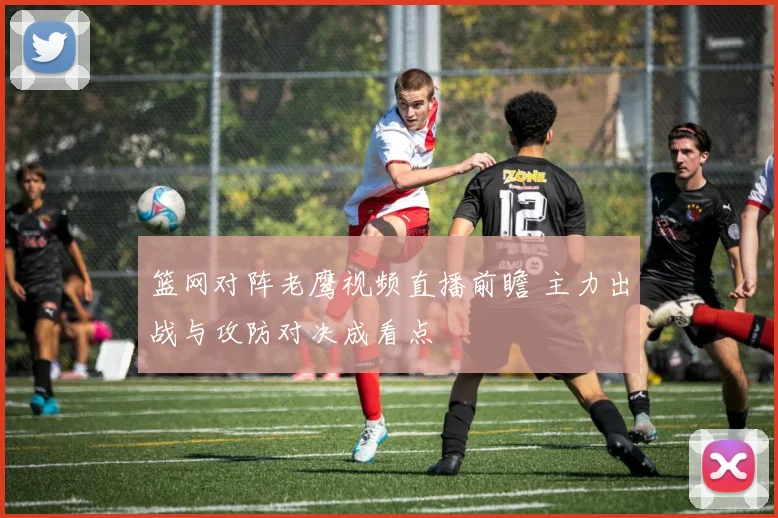 篮网对阵老鹰视频直播前瞻 主力出战与攻防对决成看点
