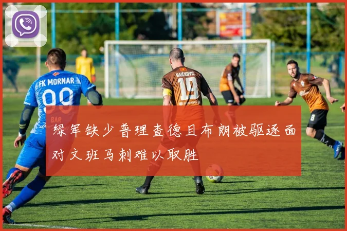 绿军缺少普理查德且布朗被驱逐面对文班马刺难以取胜